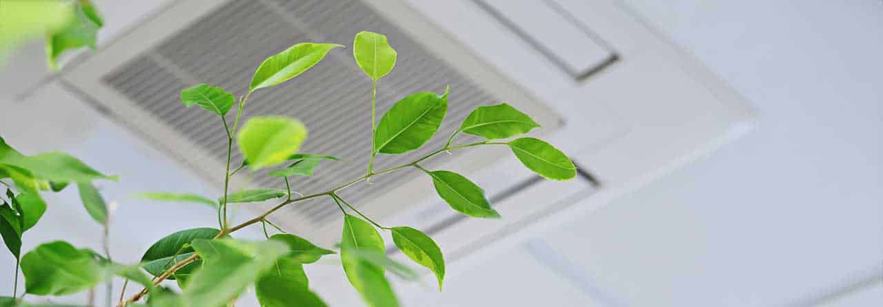 How Much Does a Water Filtration System Cost in Detroit, MI? | Angi