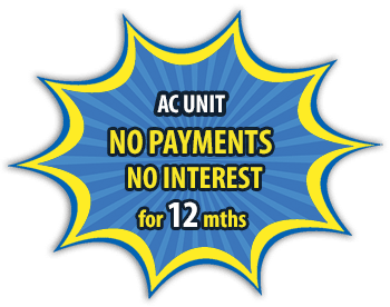 no-payment-no-interests-12