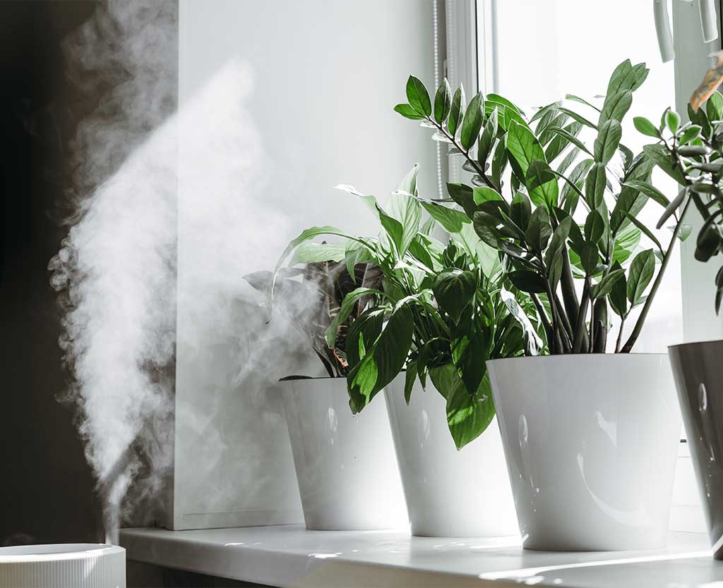 whole-house-dehumidifier